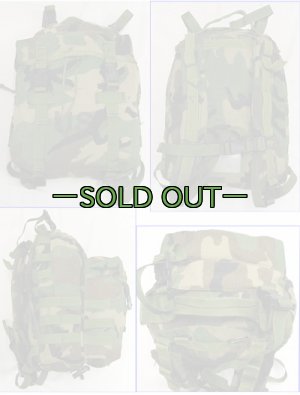 画像1: MOLLE2 パトロールパック　ウッドランド