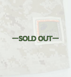 画像2: FROG IWコンバットシャツ(IWCS)　デザートMARPAT