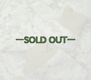 画像9: FROG IWコンバットシャツ(IWCS)　デザートMARPAT