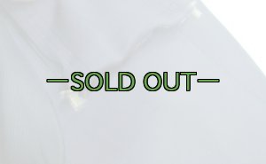 画像12: ウェットスーツ　中古良品　L　PJ