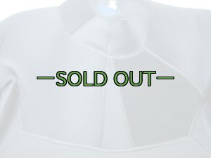 画像5: ウェットスーツ　中古良品　L　PJ