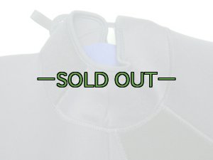 画像4: ウェットスーツ　中古良品　L　PJ