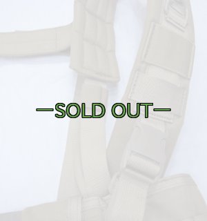 画像5: BHIベスト　コヨーテ？