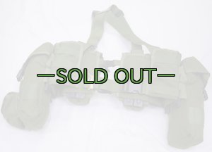 画像9: タクティカルテイラーベスト　MAV　OD　ポーチ付き