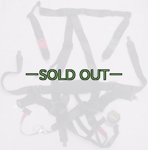 画像2: ハーネス　SCHROTH