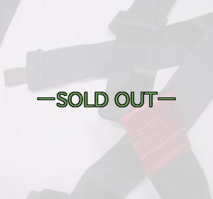 画像10: ハーネス　SCHROTH