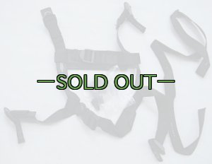 画像7: SKYDEX　フリッツヘルメット用アップグレードキット