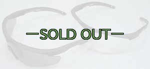 画像2: REVISIONサングラス　STINGER HAWK