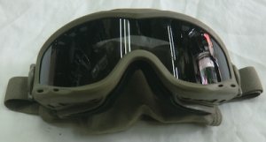 画像4: WILEY-Xゴーグル　スモークレンズ　スピアー　コヨーテ