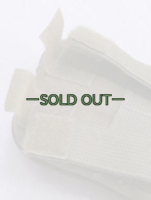 画像4: TAD GEAR ダンプポーチ　コヨーテ　RDDP2