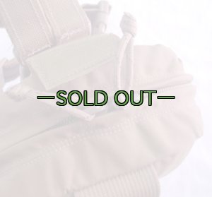 画像4: コヨーテ　レッグメディックポーチ　CAS