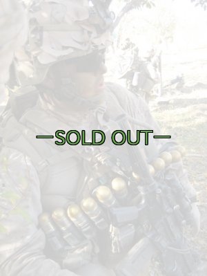 画像13: タクティカルテイラー　40mm12連ベルト　コヨーテ