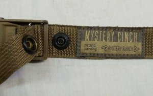 画像3: ミステリーシンチ　コヨーテ