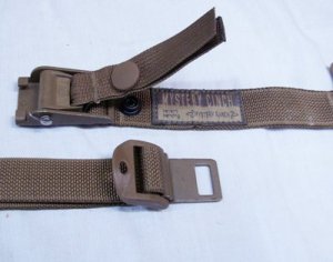 画像5: ミステリーシンチ　コヨーテ