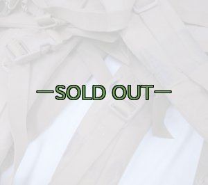 画像11: コヨーテ メインリュック用ショルダー　USMC PACK