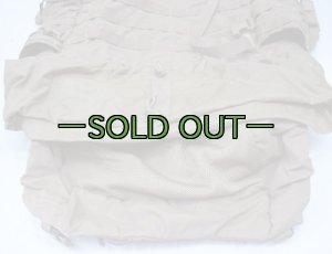 画像12: コヨーテ メインリュック本体のみ　USMC PACK