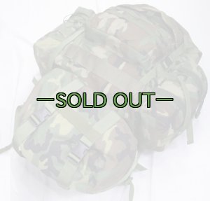 画像1: MOLLE 2　メインパックセット　ウッドランド