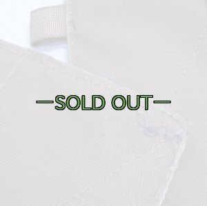 画像6: メディカルパネル2枚　メディックリュック用