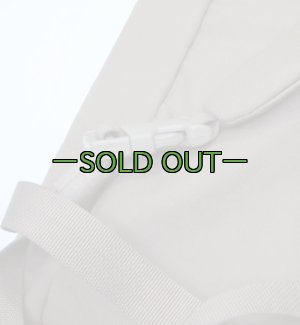 画像8: AIIEvac Mantisキャリア　コヨーテ　リュック