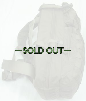 画像4: スウェーデン軍　アサルトパック　RG