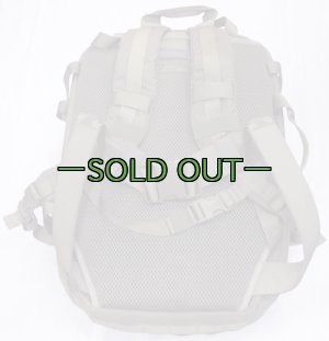 画像9: スウェーデン軍　アサルトパック　RG