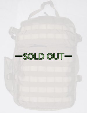 画像2: スウェーデン軍　アサルトパック　RG