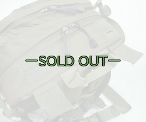 画像6: スウェーデン軍　アサルトパック　RG