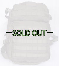 スウェーデン軍　アサルトパック　RG