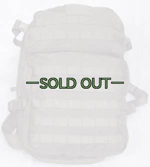 画像1: スウェーデン軍　アサルトパック　RG