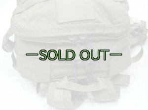 画像7: スウェーデン軍　アサルトパック　RG