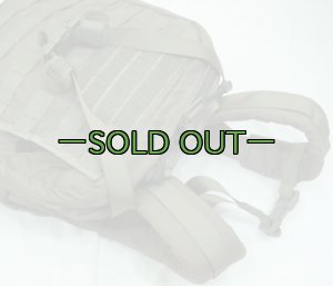 画像4: スウェーデン軍　メディックパック　RG