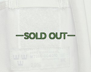 画像9: スウェーデン軍　メディックパック　RG