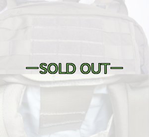 画像8: スウェーデン軍　メディックパック　RG