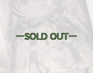 画像20: BHI SOFバックパック　ACU　極上品