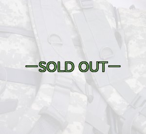 画像14: BHI SOFバックパック　ACU　極上品