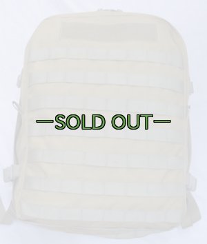 画像2: BHI バックパック　デザート系　メディック　中古良品