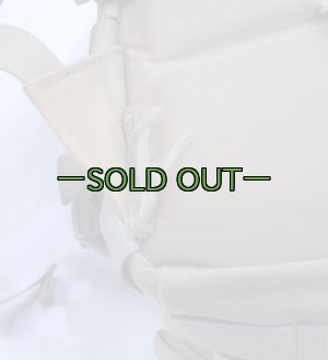 画像11: BHI バックパック　デザート系　メディック　中古良品