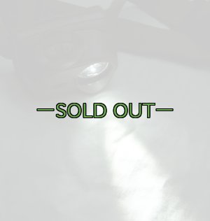 画像5: コヨーテ ヘッドライト　ペツル　白/緑