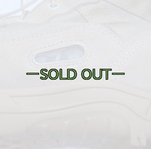 画像4: タクティカル ブーツ　11W　中古上〜　WELLCO　デザート