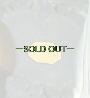 画像9: モントレイルブーツ　Blue Ridge　9.5　中古良品