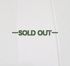 画像6: スリーピングマット　サーマレスト　コヨーテ