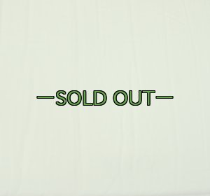 画像8: エアースリーピングマット　OD　WENZEL