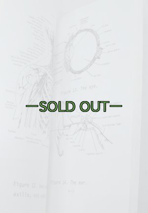 画像4: グリンベレー　メディカルハンドブック　ST31-91B
