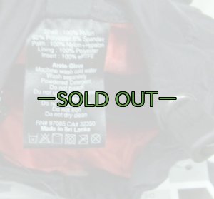 画像7: ゴアテックス グローブ　OR　ARETE