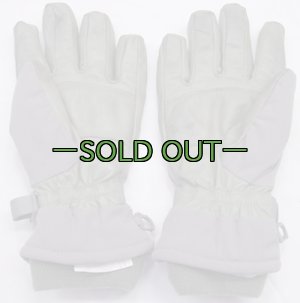 画像2: ICWグローブ　ACU　FG