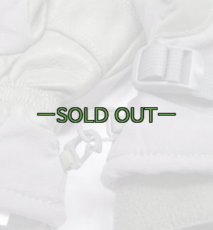 画像5: ICWグローブ　ACU　FG