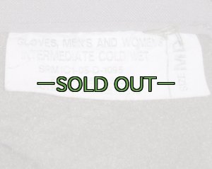 画像3: ICWグローブ　ACU　FG