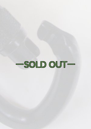 画像6: カラビナ　スチール　スクリューロック AUSTRIALPIN　黒