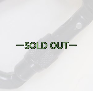 画像5: カラビナ　スチール　スクリューロック AUSTRIALPIN　黒