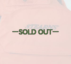 画像5: ライフジャケット　STEARNS　USIA　コーストガード